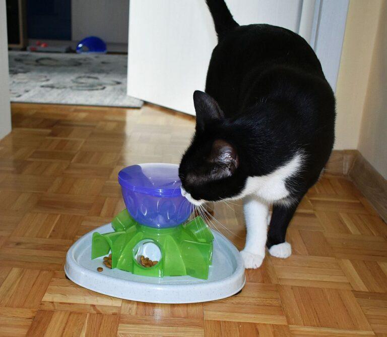 tomi cupuzzle feeder