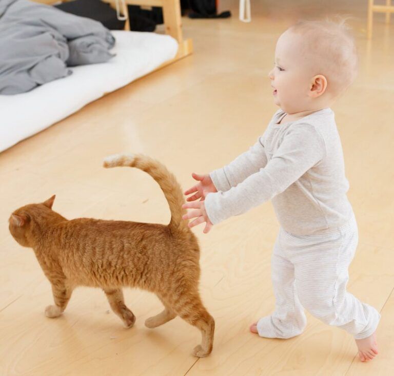 Clipboard_01-20-2026_01