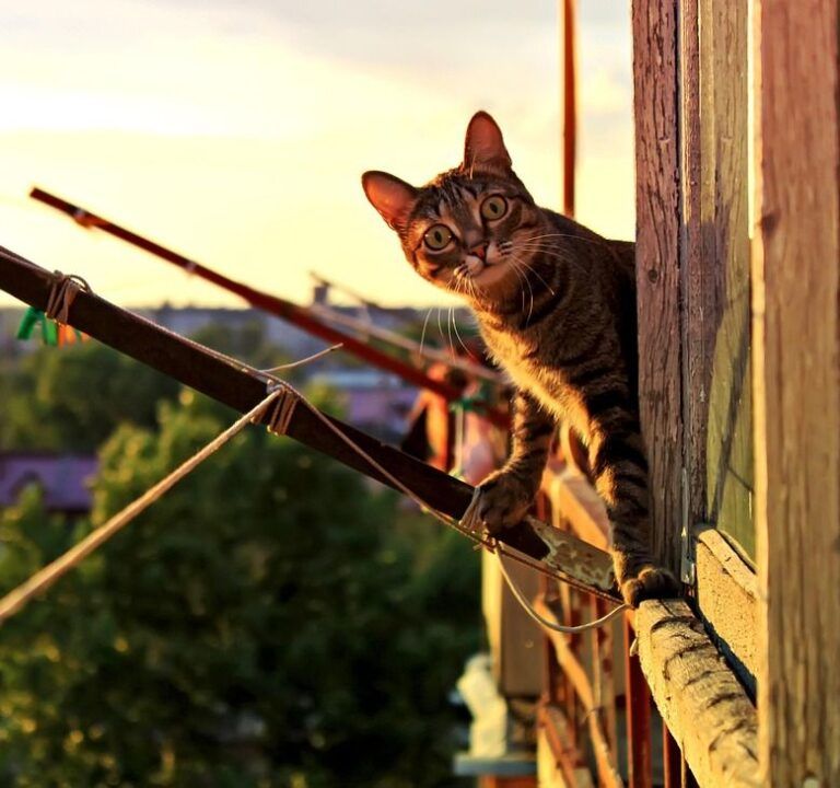 Clipboard_02-08-2026_01